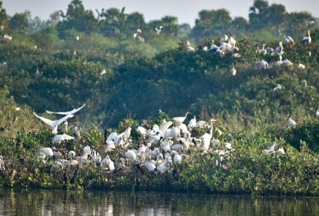 Tamil Nadu: six more wetlands get Ramsar recognition