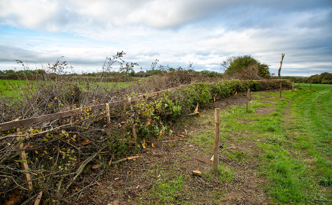 Farmers urged to prepare for capital grants reopening