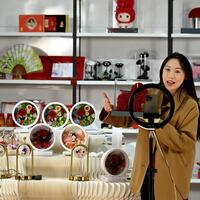 "Double 11" shopping bonanza ignites fresh surge in consumer spending