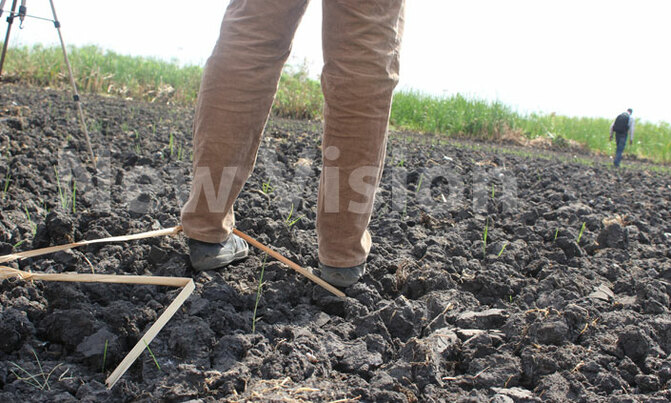 Uganda's lakes recede as dry spell hits hard Uganda's lakes recede as dry spell hits hard