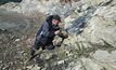  A geologist at Marathon Gold's Berry zone in Newfoundland, Canada