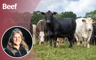 OPINION: Are we breeding out stockmanship from the next generation?