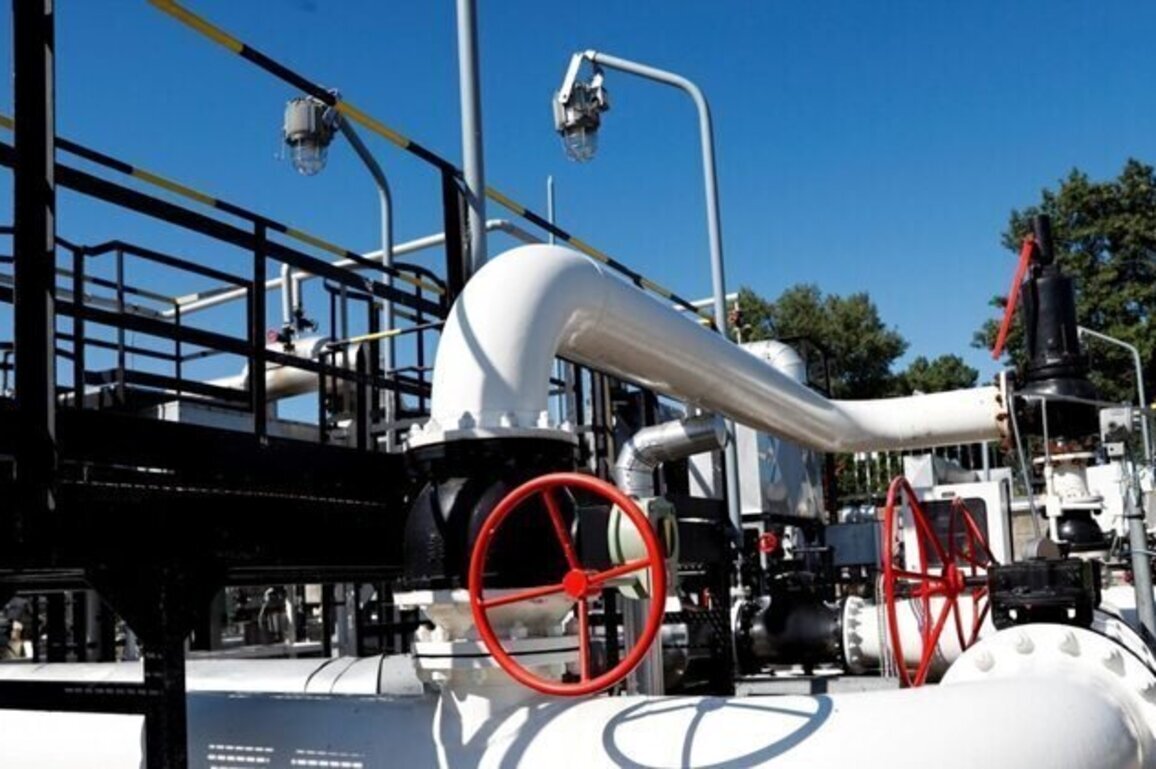 EU Quizzes Ukraine On Timeline For Repair Of Druzhba Oil Pipeline 