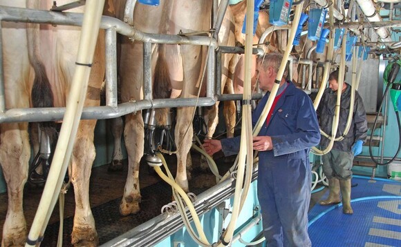 ' may expect a bumpy ride' - Global milk supplies race ahead