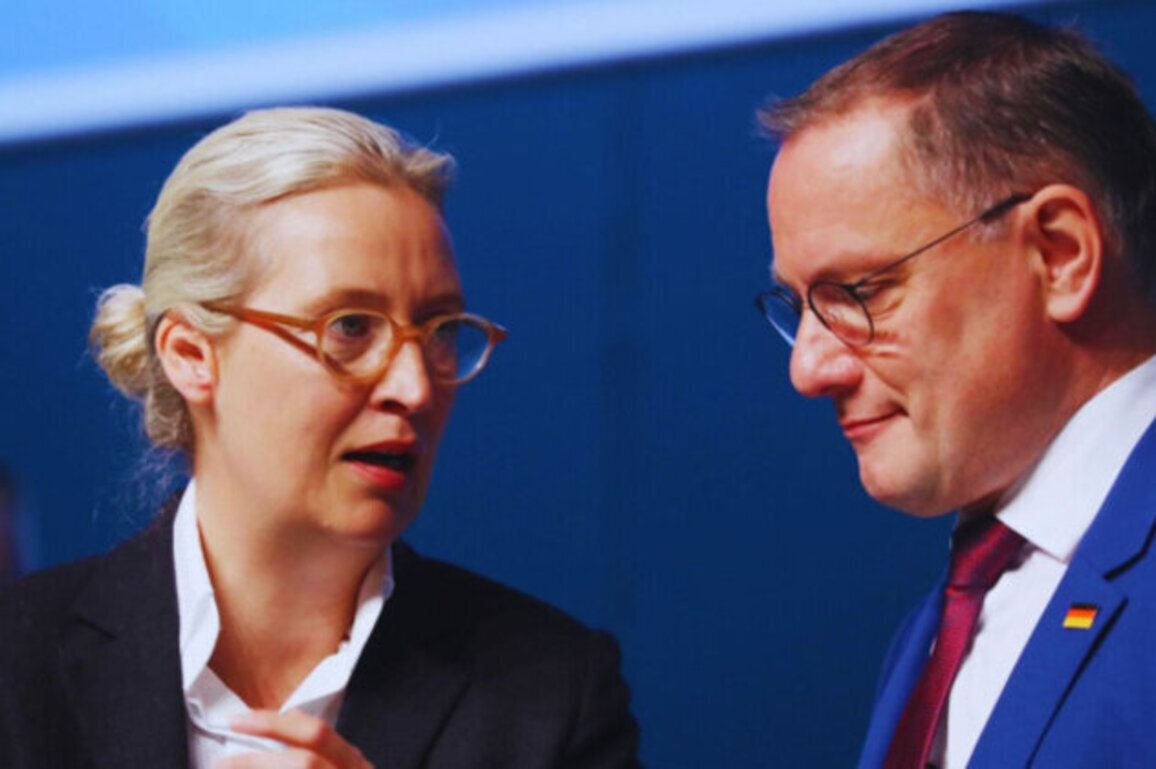 Secret EU Files at Risk: Is Germanys Far-Right Party Feeding Russia