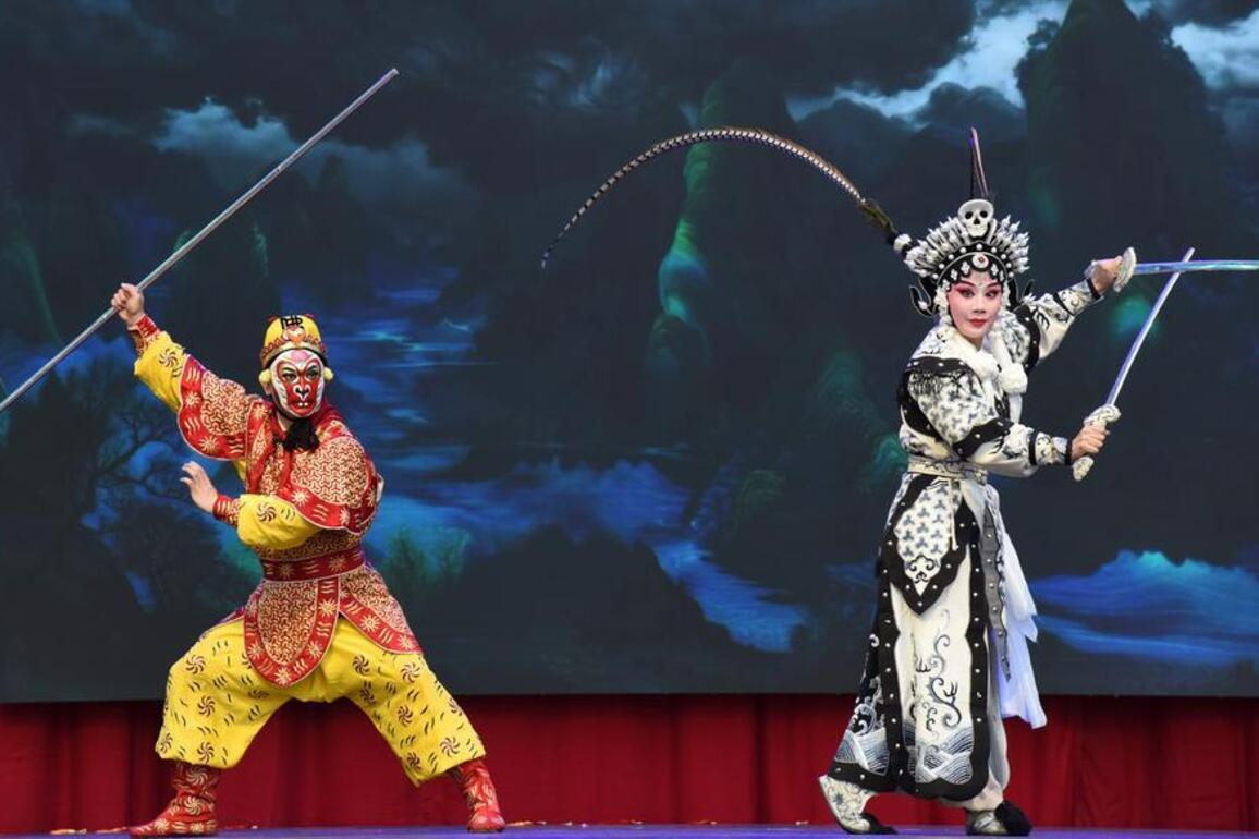 Chinese Lunar New Year event in The Hague promotes cultural exchange