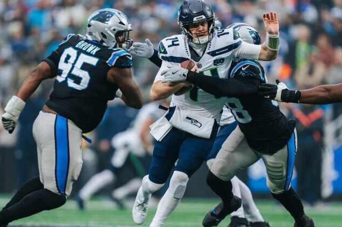 Panthers defense takes valuable lessons from Seahawks game