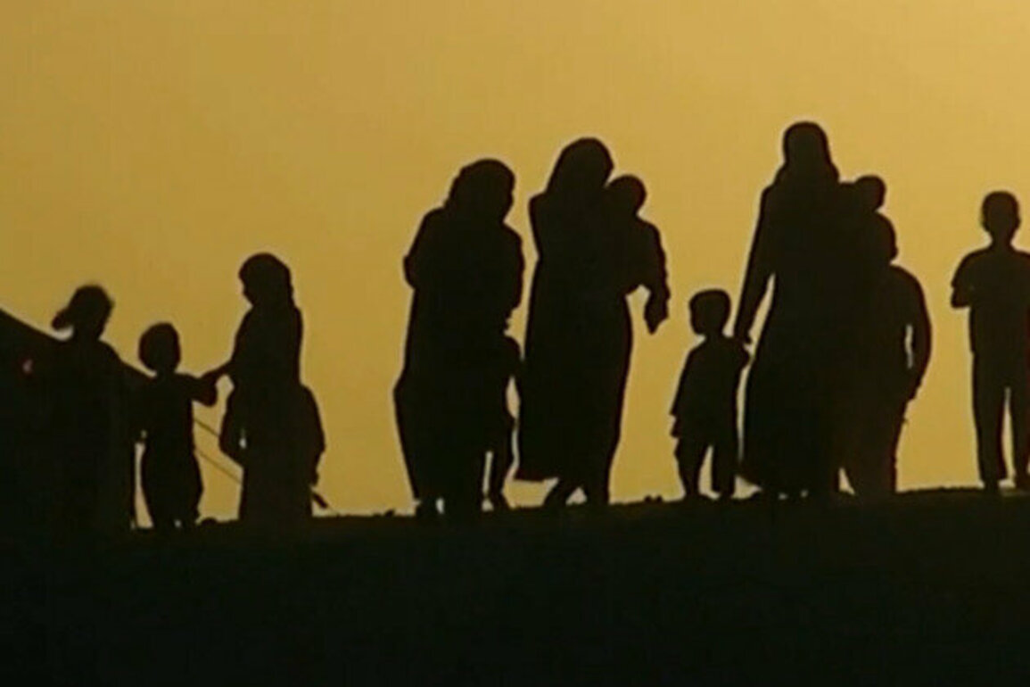 The ISIS brides debacle