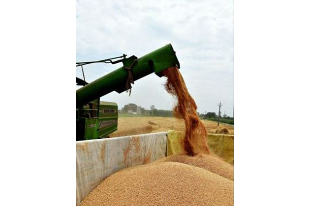 Rabi MSP hike to have muted impact on inflation: Report