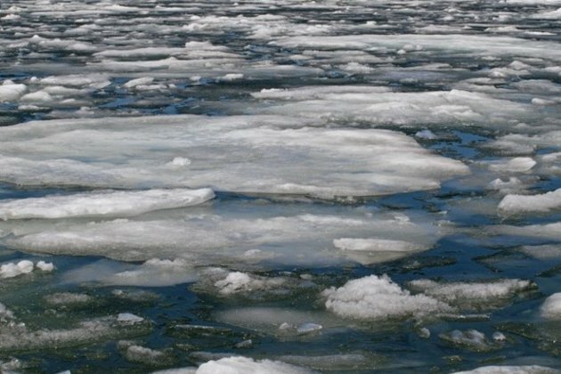 Melting Arctic sea ice linked to emergence of deadly virus: Study