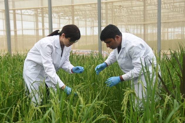 CHINA-HAINAN-PAKISTANI RESEARCHERS-AGRICULTURAL INNOVATION WITH CHINA