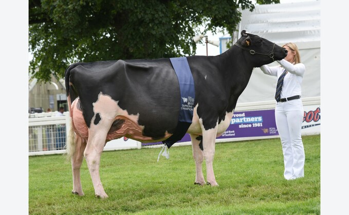 Inter-breed dairy champion, Mag Pandor, from the Laird family, Peeblesshire, and Ferme Blondin, Canada. 