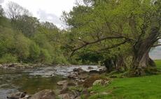Regenerative approach improves water quality