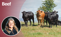 Opinion: "I came away from Beef Stock feeling optimistic about the next generation"