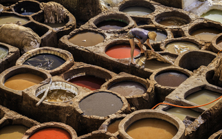 EU Deforestation Regulation: Leather, soybean seeds and medicines given exemptions