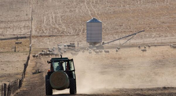 BOM said El Niño often brings drier conditions to central and eastern Australia in winter and spring, but not always. 