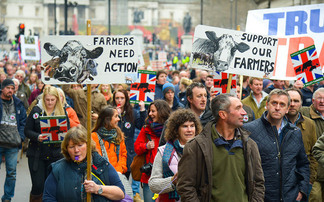 UK farmers considering plans for a nationwide fuel and fertiliser protest