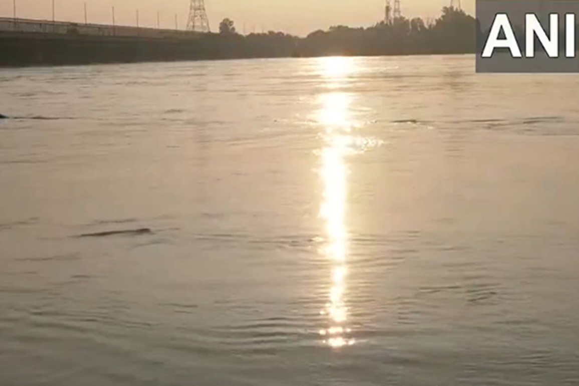 Delhi: Yamuna flows above danger mark after all gates of Hathinikund Barrage opened