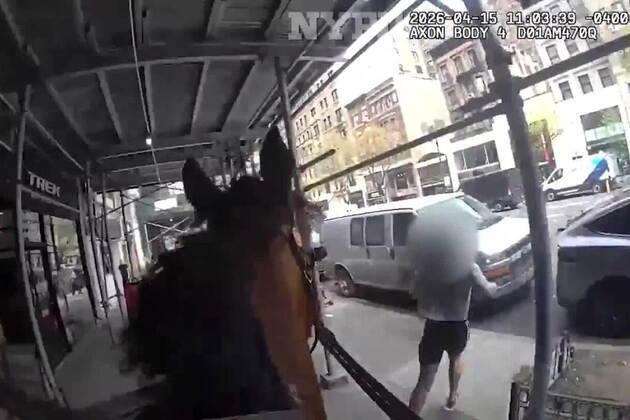 Bodycam video shows NYPD mounted unit officer, horse named Kelly, bystander nab purse-snatcher