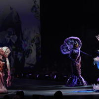 NEW ZEALAND-WELLINGTON-WORLD OF WEARABLE ART-SHOW