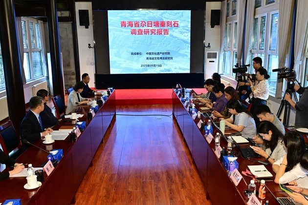 FOCUS | China discovers highest-altitude Qin Dynasty engraved stone on Qinghai-Tibet Plateau