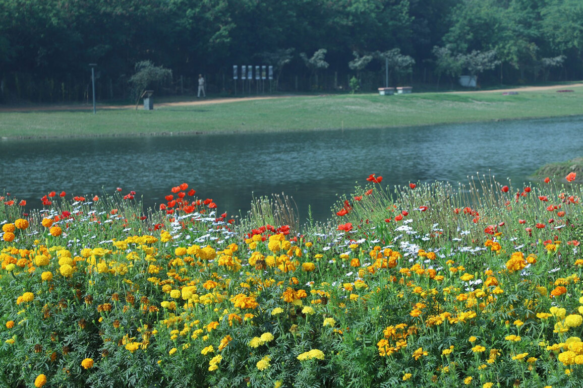 Delhi's Yamuna Riverfront becomes Venue as Asita Park now open for Public Bookings