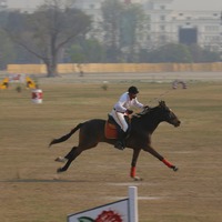 Nepal celebrates "Ghode Jatra", traditional festival observed in Chaitra