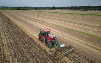 The benefits of drilling oilseed rape later