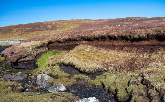 Peatland restoration's role in tackling climate crisis