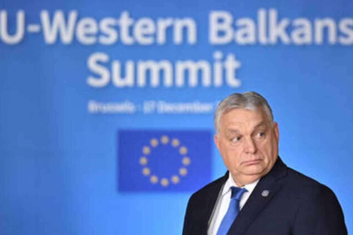 EU 'crushed' itself by sanctioning Russia - Orban