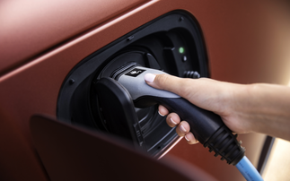 EVs secure over a quarter of November's new car market