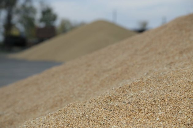 Kazakhstan introduces wheat, flour export quotas