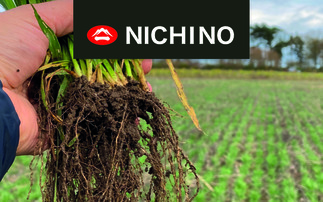 Partner Insight: Grow stronger, healthier Crops – naturally with Newton®