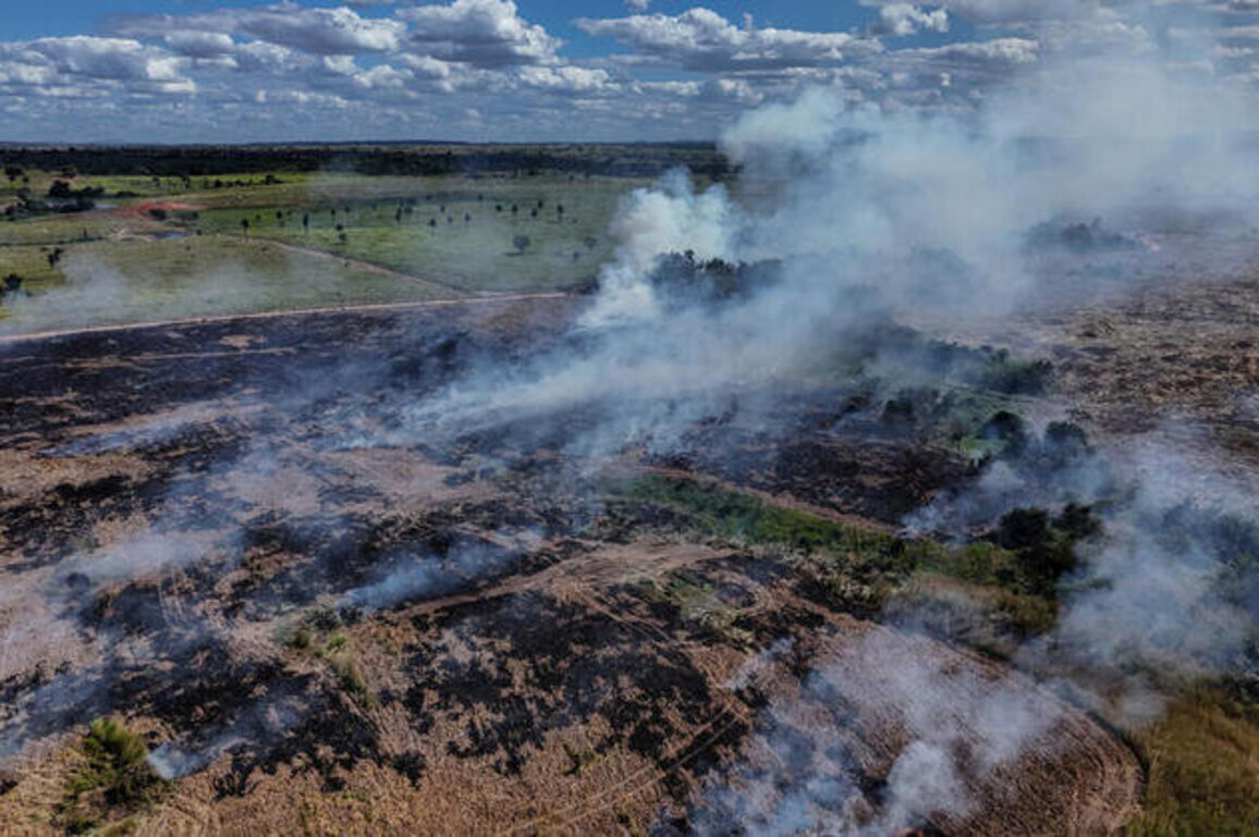 Deforestation in Brazil's Amazon drops to lowest level since 2019