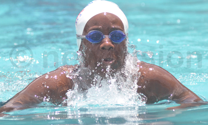 Swimming: Seals Invitational gets underway Swimming: Seals Invitational gets underway