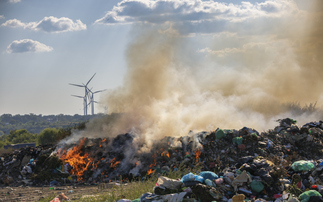 'Triple planetary crisis': OECD warns climate, nature and pollution impacts increasingly reinforcing each other