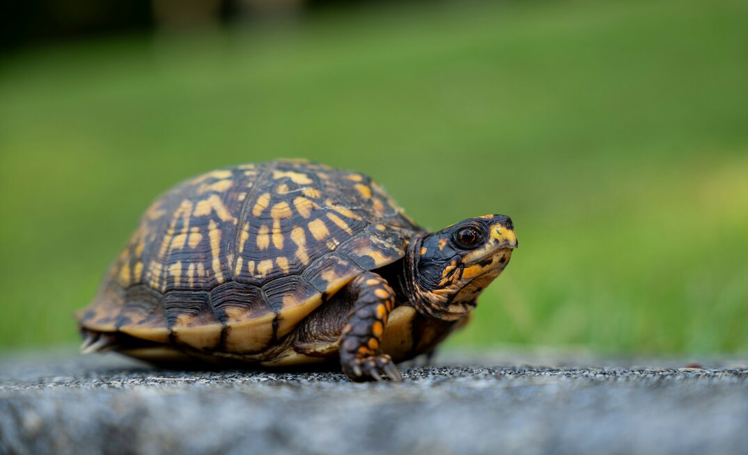 Portal da Mineracao Brasil Mineral Agência