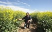 Precision seeding technology shows promise
