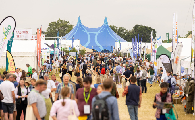 Groundswell Festival 2023