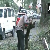 'Storm caused heavy crop damage; no casualties yet': HP Revenue Minister