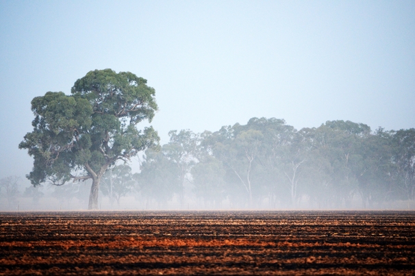 Farmers say proposed changes to paraquat and diquat could see sustainable farming practices go up in flames, and force them to increase burnoffs and revert to other old practices for weed control.