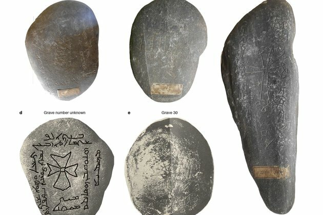 Black death: how we solved the centuries-old mystery of its origins