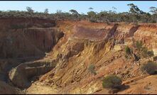 Mt Dimer Taipan gold pit, view to northwest.