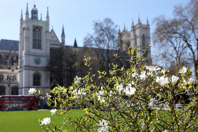 BRITAIN-LONDON-SPRING SCENERY
