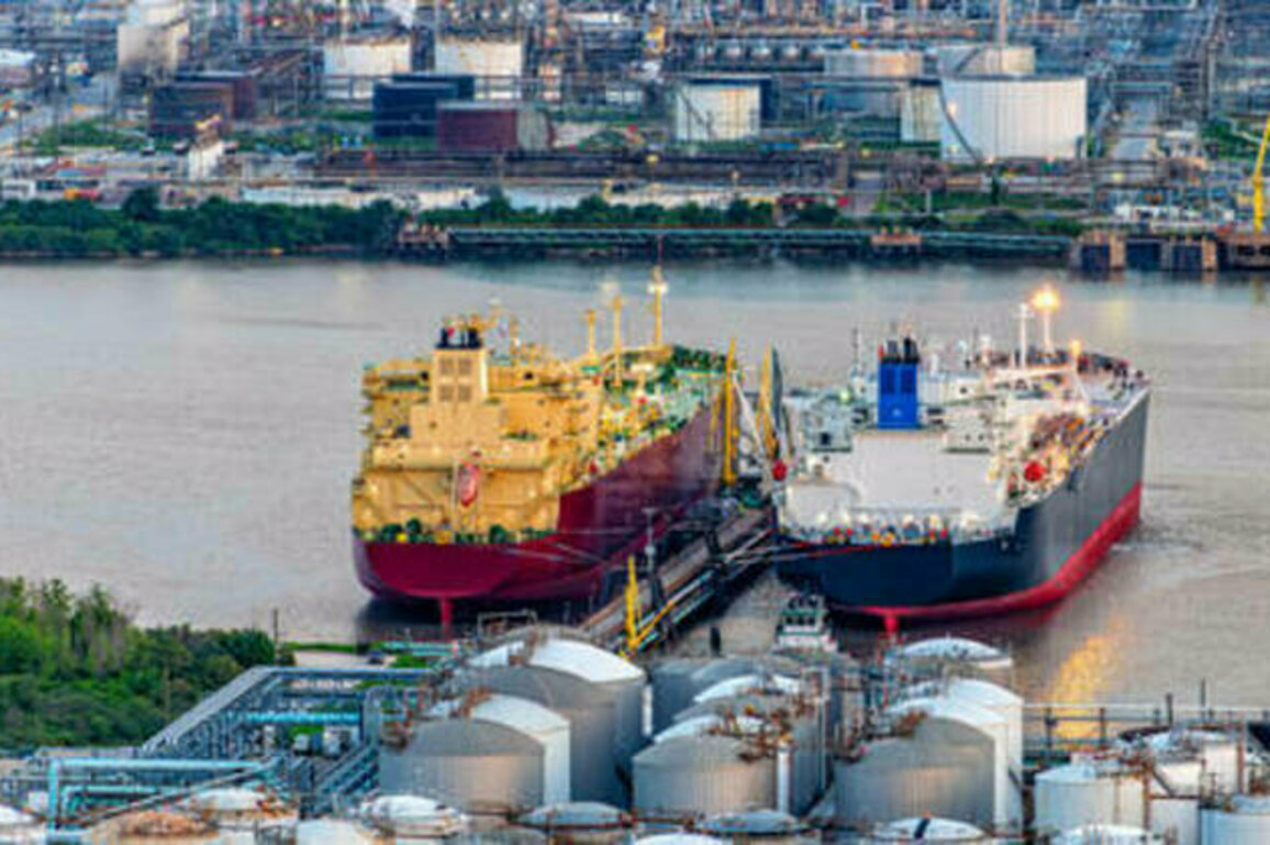 China 'completely' stops buying LNG from US - FT