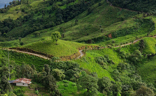 The El Domo-Curipamba project in Ecuador. Credit: Adventus Mining