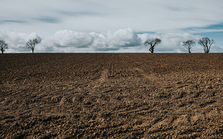 New green soil project hopes to boost crop yields