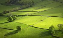 Farm Business Innovation Show: Budget discussion highlights need to 'look at business structure and what is feasible'