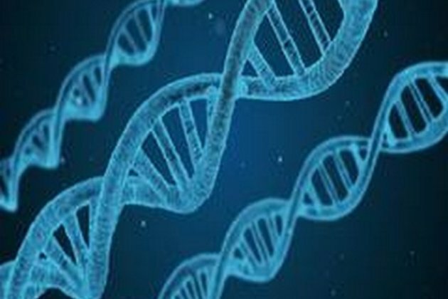 Study gives explanation for severe graft-versus-host disease