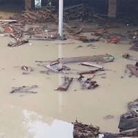 Cremations halted in Geeta Colony, Delhi, as floodwater entered region; no help from government, claim workers